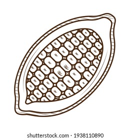 chocolate cocoa beans on background