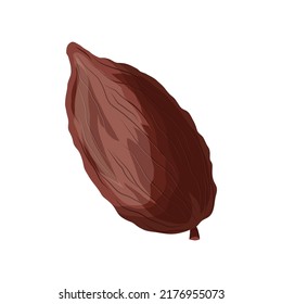 chocolate cocoa cartoon vector. cacao chocolate, plant tree, fruit pod, seed leaf chocolate cocoa. isolated color illustration
