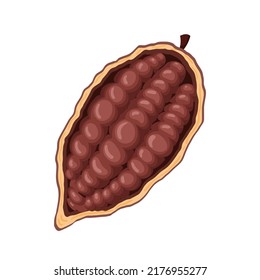 chocolate cocoa cartoon vector. cacao chocolate, plant tree, fruit pod, seed leaf chocolate cocoa. isolated color illustration