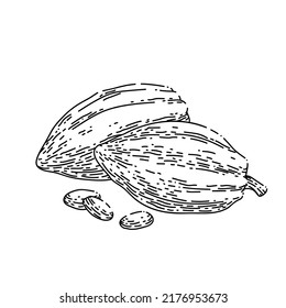 Schokoladenkakao handgezeichnet Vektorgrafik. Kakao-Schokolade, Pflanzenbaum, Obstpod, Samenblattschokoladenskizze. einzelne schwarze Illustration