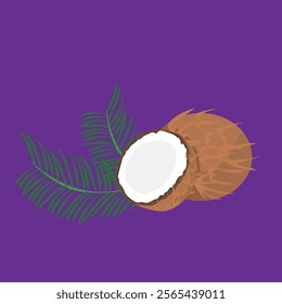 Chocolate coconut half coco santan old coconut flat design