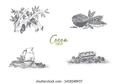 Chocolate cooking process, tree fetus collecting, beans grinding, ingredients mixing, candy shop, confectionery banner