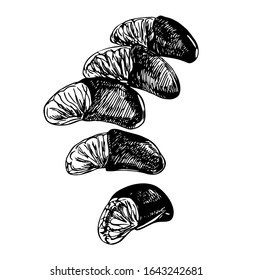 Chocolate covered slices of orange fruit in line art style.