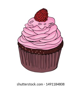 chocolate cupcake with pink cream and raspberries on a white background. design for a pastry shop