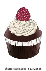 chocolate cupcake with raspberry on top