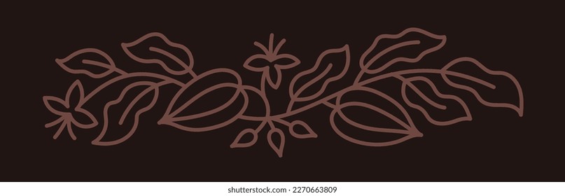 Chocolate design element for candy box. Cocoa bean. Beans and branches leaves. Editable outline stroke. Vector line.