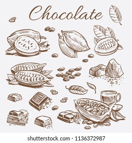 Chocolate elements collection. Hand drawing cocoa beans of set and chocolate bars and leaves. Vector illustration