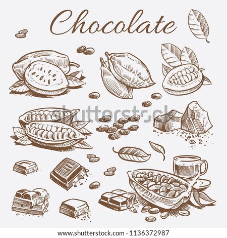 Similar – Image, Stock Photo Chocolate bar on cocoa powder pile. Chocolate and ingredients