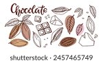 Chocolate. Hand drawn sketch vector Cocoa beans, leaves, raw chocolate chunks, wedges of dessert chocolate, Chocolate text. Organic product Doodle sketch for cafe, shop, menu, logo, emblem, symbol.