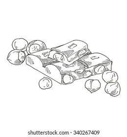 chocolate with hazelnuts, vector illustration, drawing gravure