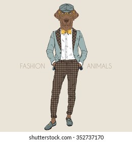 chocolate labrador dressed up in cool style, fashion animal illustration