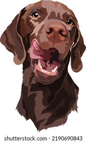 Capola de chocolate Labrador. Perro. Retrato. Vector 