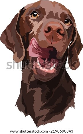 Chocolate Labrador puppy. Dog. Portrait. Vector 