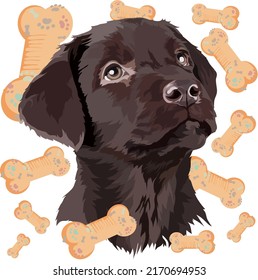 Chocolate Labrador puppy on the background of toys for dogs. Dog portrait. Vector illustration