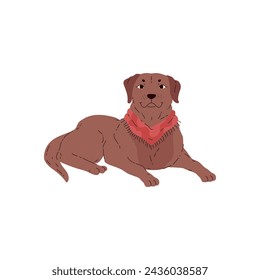 Chocolate Labrador Retriever. Cute little dog lying in a red bandana on an isolated background. Charismatic dog portrait looking forward. Flat vector for pet lovers.