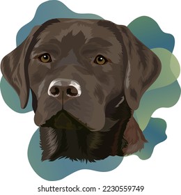 Labrador de chocolate. Retrato de un perro con un fondo de color. Ilustración vectorial.