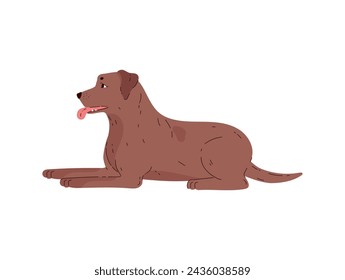 Chocolate Labrador Retriever in a sitting position with his tongue hanging out. Portrait of a dog on an isolated background with a side view. Vector illustration ideal for pet-themed projects.