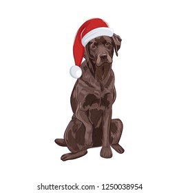 Chocolate labrador in Santa hat sitting and giving a paw.  Brown dog isolated on white background. Adorable Santa dog for your design.