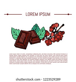 Chocolate with mint and Rowan served on white background. Vector illustration.
