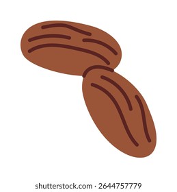 Chocolate nuts cartoon sweet dessert
