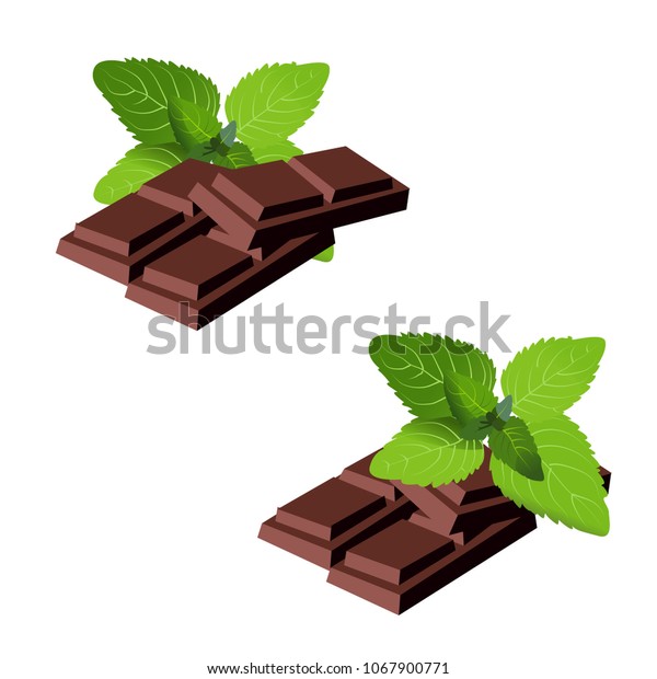 Chocolate Pieces Mint Leaves Vector Illustration Stock Vector (Royalty ...