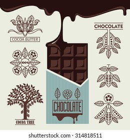 chocolate. products from cocoa bean. graphic image of the cocoa bean.