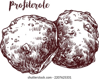 chocolate Profiterole hand drawn monochromatic illustration for restorante menu 