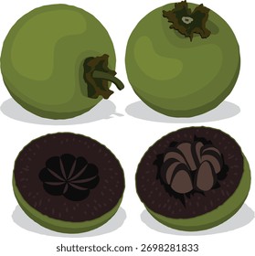 fruta de pudim de chocolate, sapota preta.