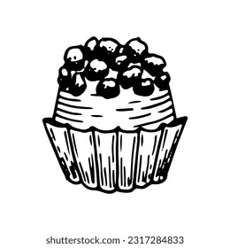 Chocolate sweets sketch. Confectionery food, candy, truffle. Delicious dessert. Candies with sprinkles. Yummy. Cocoa bean product. Hand drawn vector doodle illustration.