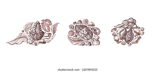 Chocolate symbols set. Vector sketch of graphic label. Truffles with cocoa powder, texture fruit, nuts. Vintage illustration for sweet-shop, cafe