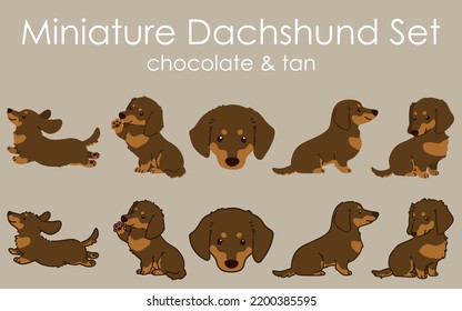 Chocolate and tan colored Miniature Dachshund illustrations set