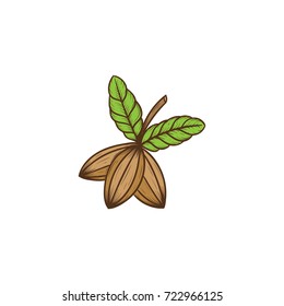chocolate tree vector illustration