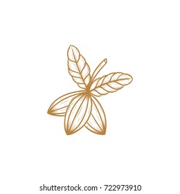chocolate tree vector illustration