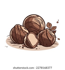 chocolate truffles in a white background vector illustration