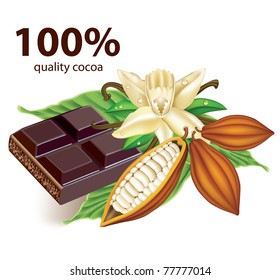 Chocolate vanilla flower and fruit of the cocoa