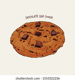 Chocolate-chip cookie, hand draw sketch vector.