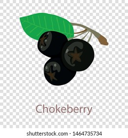 Chokeberry icon. Isometric illustration of chokeberry vector icon for web