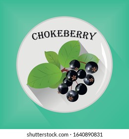 Chokeberry seasoning sticker flat icon vector image on grey and green background
