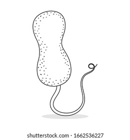 Cholera disease microorganisms vector illustration isolated on white background. Vibrio cholerae cell vector cartoon.