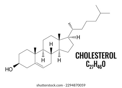 Cholesterinformel, chemisches Modell eines Moleküls auf weißem Hintergrund