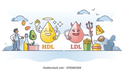 Cholesterol HDL vs LDL character comparison with examples outline concept. Good versus bad density fats diet vector illustration. Healthy nourishment choice over junk food for cardiovascular health.