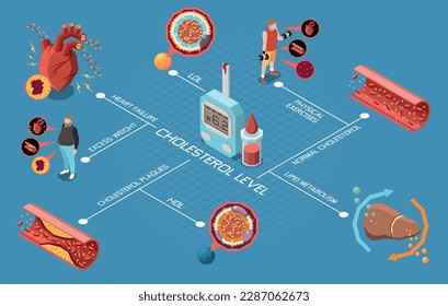 Diagrama de flujo de nivel de colesterol con pruebas de grasa buenas y malas ilustraciones vectoriales
