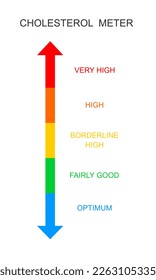 Cholesterol meter vertical scale. Atherosclerosis, hyperlipidemia, hypercholesterolemia risk chart. Lipoprotein levels from optimum to very high isolated on white background. Vector flat illustration