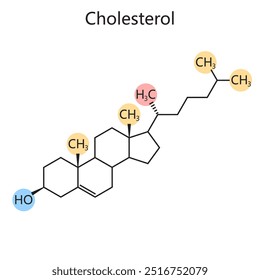 cholesterol molecular structure, chemical bonds and functional groups, biochemistry and medical research diagram hand drawn schematic vector illustration. Medical science educational illustration