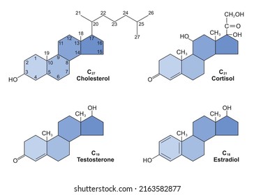 Cholesterol and some of the steroid hormones derived from cholesterol