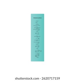Diagrama de síntesis de colesterol: ilustración esquemática simple de la reacción enzimática. Vía de biosíntesis a través de HGM CoA Synthase, escualeno, lanosterol.