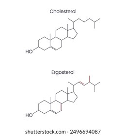 cholesterol versus ergosterol chemical structure graphic design