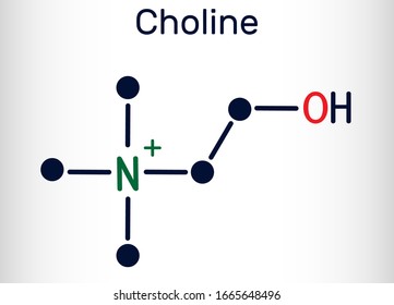 Choline,  C5H14NO+.vitamin-like essential nutrien molecule. It is a constituent of lecithin. Structural chemical formula and molecule model. Vector illustration