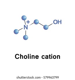 Choline cation sets in head groups of phosphatidylcholine and sphingomyelin, phospholipids of cell membranes. It is precursor of neurotransmitter acetylcholine, for memory and muscle control functions
