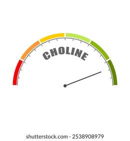 Choline essential nutrient level on measure scale. Instrument scale with arrow.